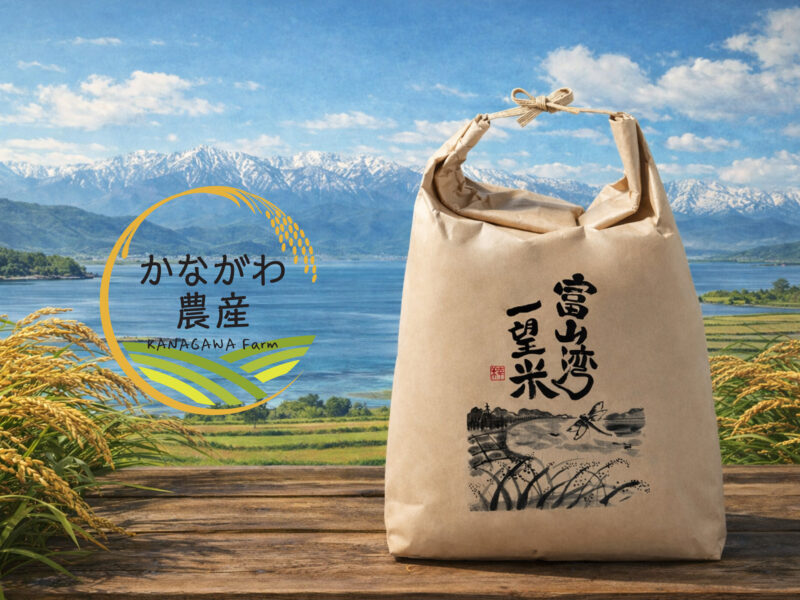 かながわ農産-パッケージデザイン